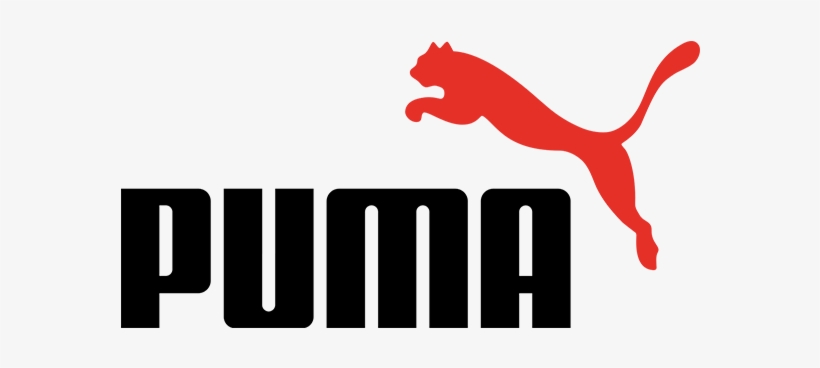 Оправы Puma